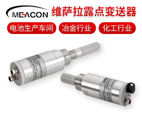 赢咖5显示屏露点仪变送器温湿度传感器探头RS485锂电